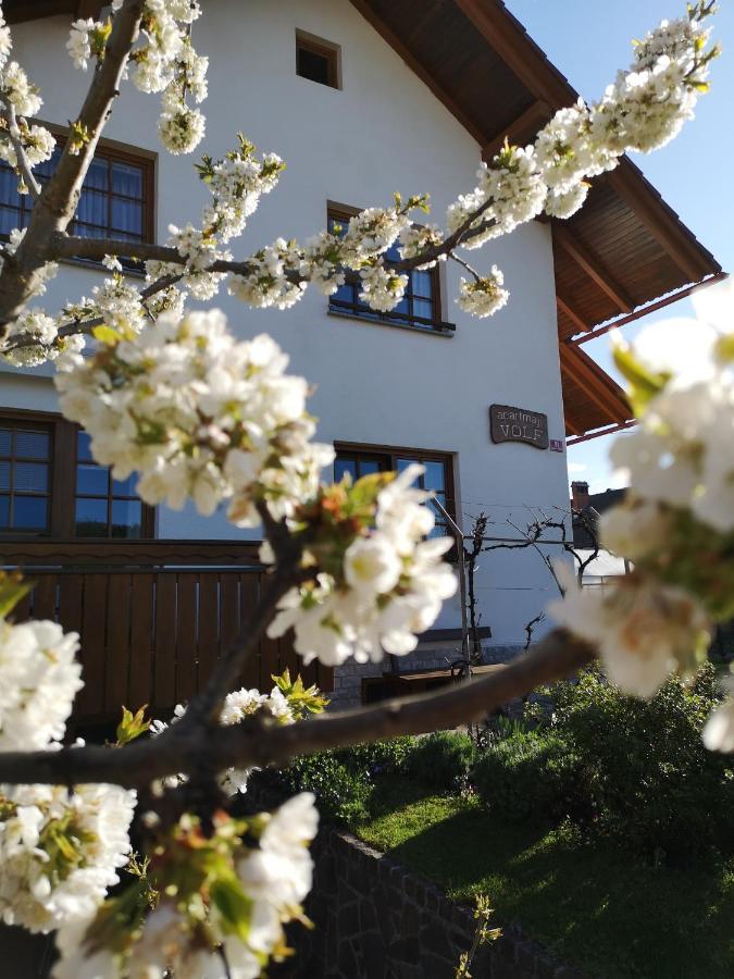 Apartmaji Volf Zgornje Gorje Exterior foto