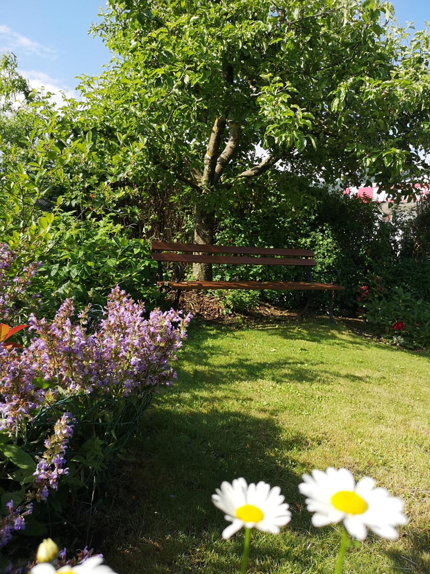 Apartmaji Volf Zgornje Gorje Quarto foto
